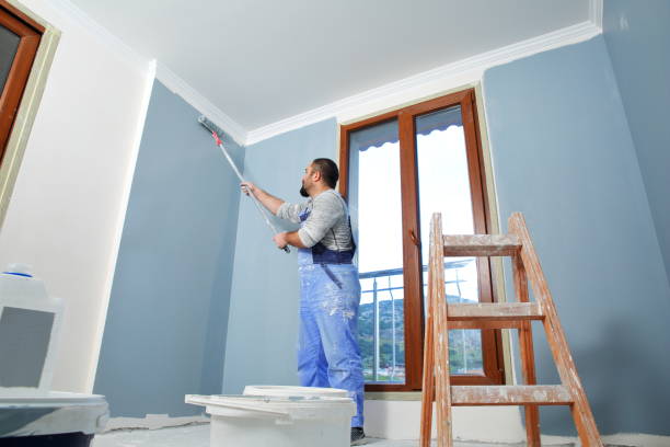 Best Comprehensive Air Testing for Mold Contaminants  in Kettering, OH